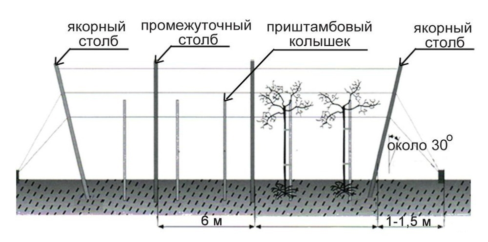 Шпалерный столб